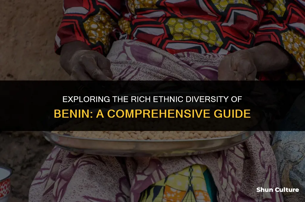 how many ethnic groups are in benin