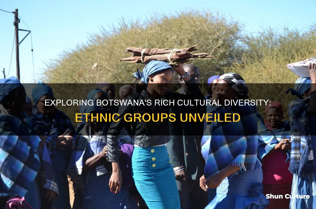 how many ethnic groups are in botswana