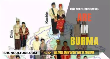 Exploring the Rich Ethnic Diversity of Burma: A Comprehensive Guide