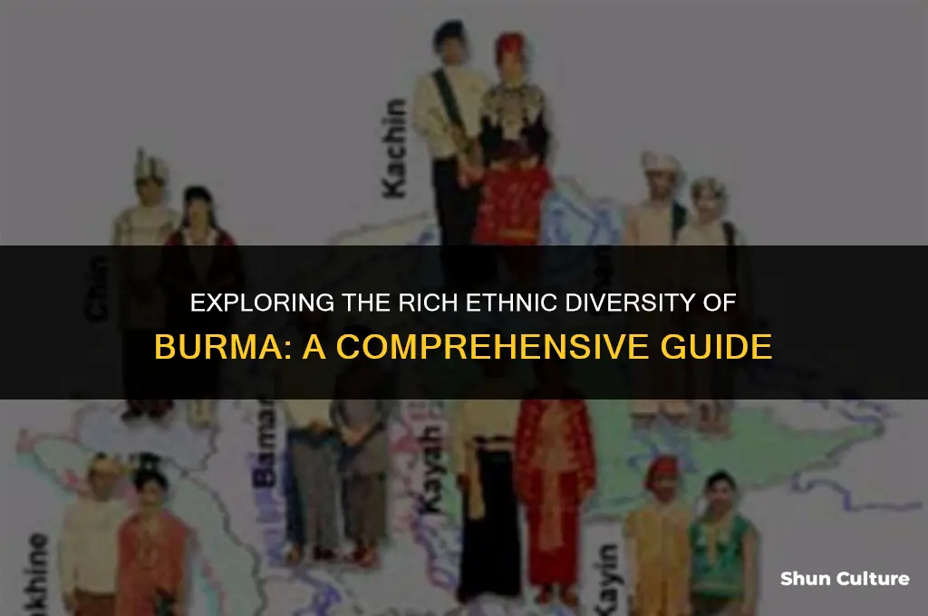 how many ethnic groups are in burma