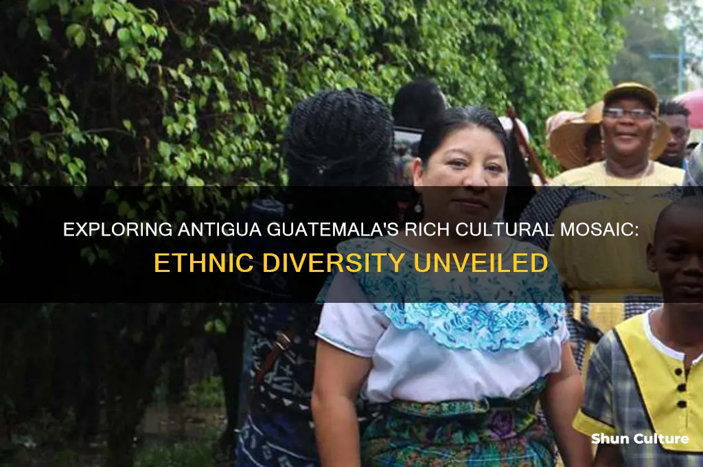 how many ethnic groups existed in antigua guatemala