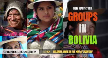 Exploring Bolivia's Rich Cultural Diversity: Ethnic Groups Count