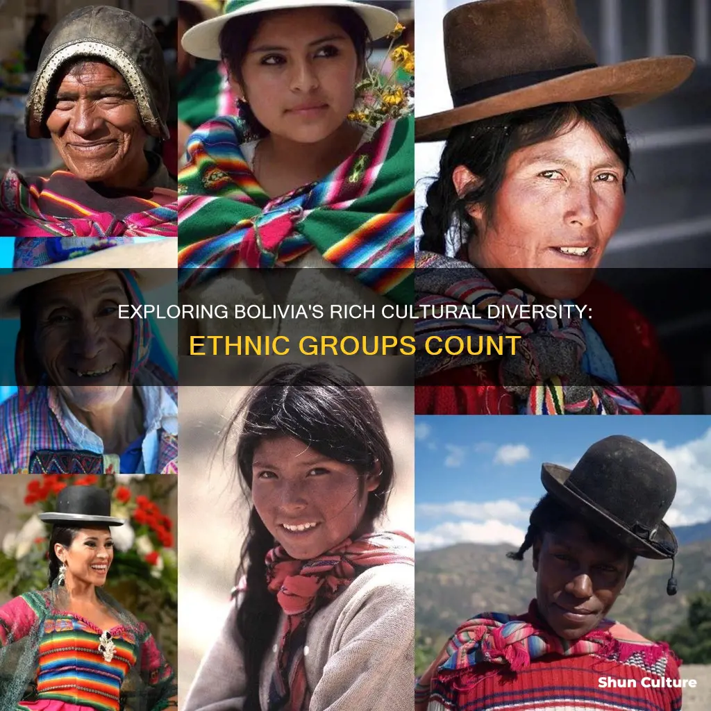 how many ethnic groups in bolivia