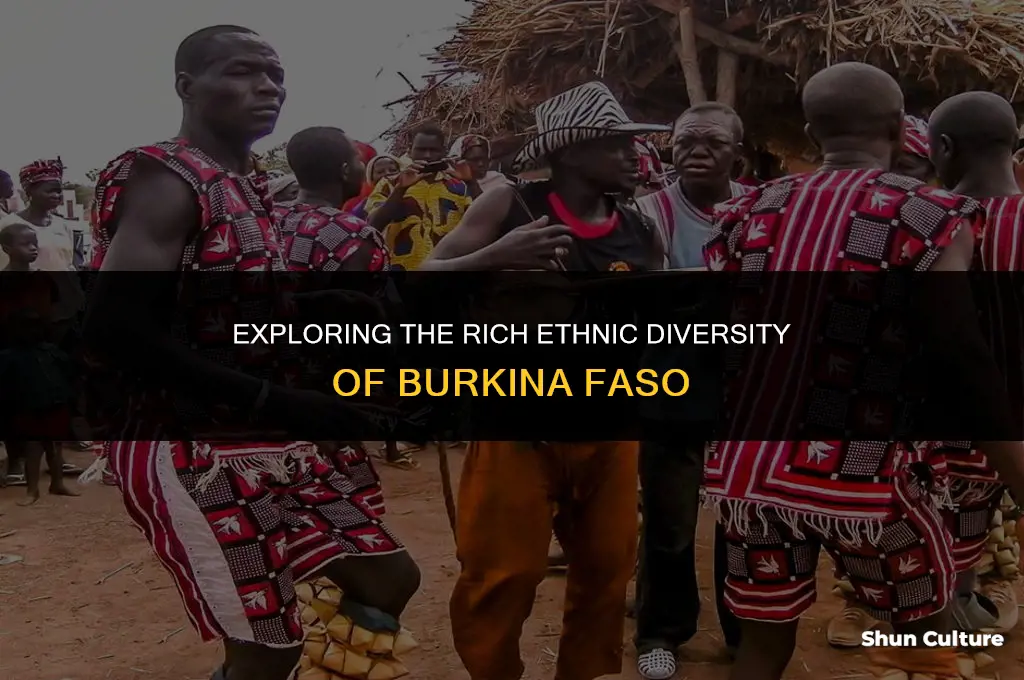 how many ethnic groups in burkina faso