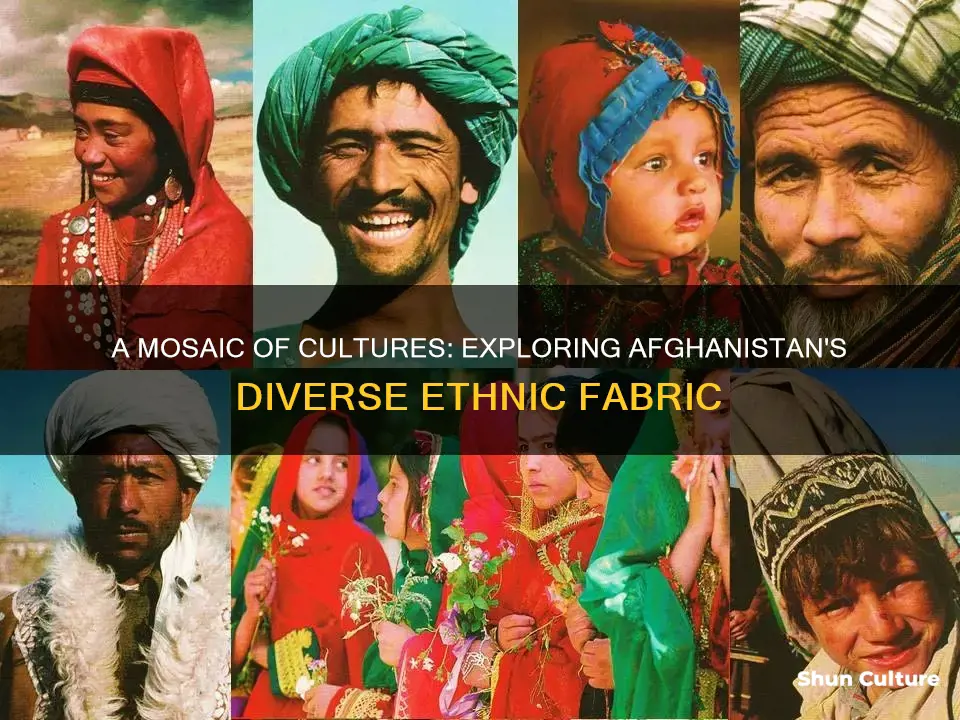 how many ethnic groups live in afghanistan