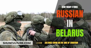 Exploring Ethnic Russians in Belarus: Population and Presence