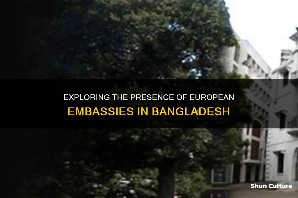 how many european embassy are there in bangladesh