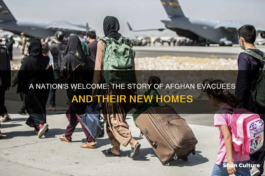 how many evacuees from afghanistan