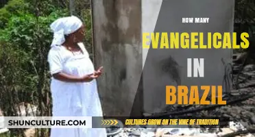 Exploring Brazil's Evangelical Population: Growth, Influence, and Demographics