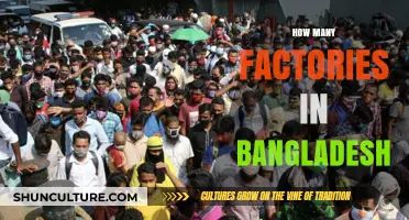 Exploring Bangladesh's Industrial Landscape: Counting the Nation's Factories