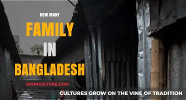 Exploring Bangladesh's Family Demographics: How Many Households Exist?