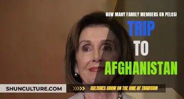 The Pelosi Afghanistan Trip: A Family Affair?