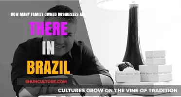 Exploring Brazil's Family-Owned Business Landscape: Numbers and Insights
