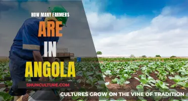 Angolan Farmers: How Many Are There?