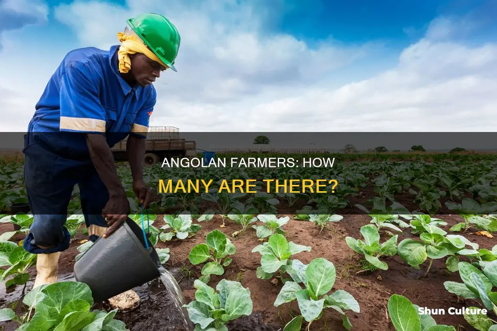 how many farmers are in angola