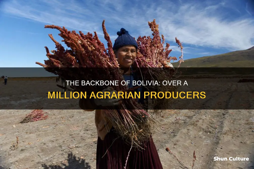 how many farmers are in bolivia