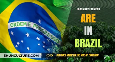 Exploring Brazil's Agricultural Workforce: How Many Farmers Exist?