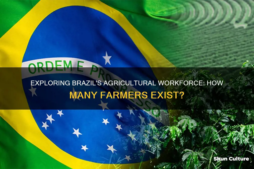 how many farmers are in brazil