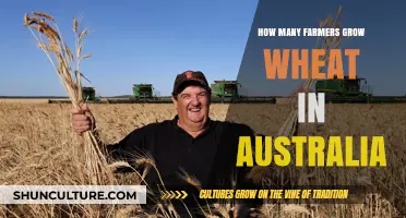 Australian Wheat Farmers: Their Numbers and Challenges