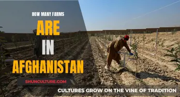 The Agricultural Landscape of Afghanistan: Unveiling the Count of Farms