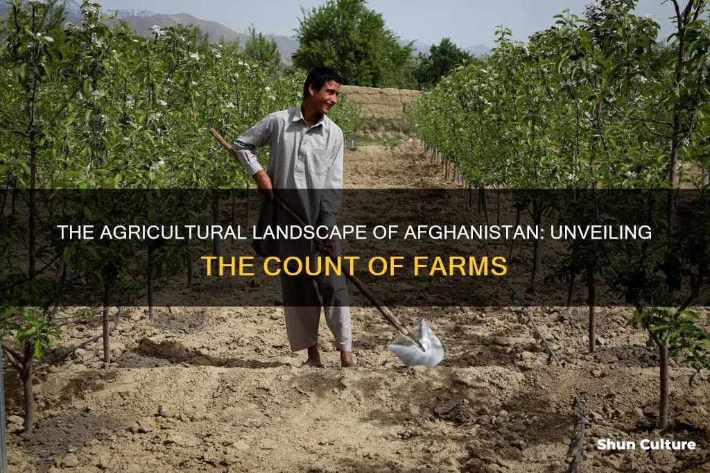 how many farms are in afghanistan