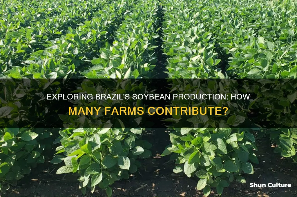 how many farms produce soybeans in brazil