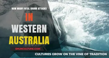 Deadly Shark Attacks in Western Australia: A Rising Trend