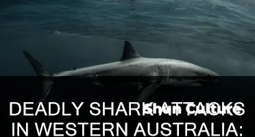 how many fatal shark attacks in western australia
