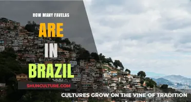 Exploring Brazil's Urban Landscape: The Count of Favelas Nationwide