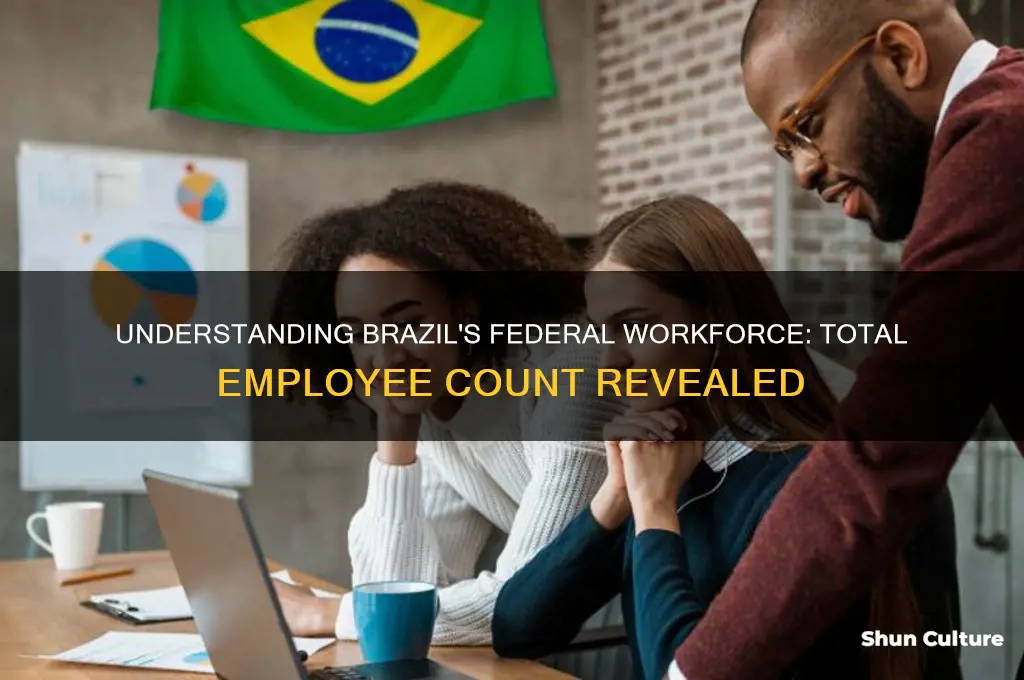 how many federal employees are there for brazil