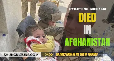 Female Marines: Afghanistan's Unseen Casualties