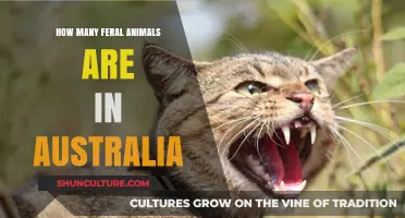Invasive Species: Australia's Feral Animal Crisis