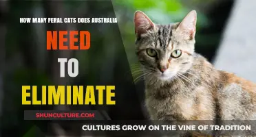 Balancing Australia's Ecosystems: Feral Cat Population Control Strategies