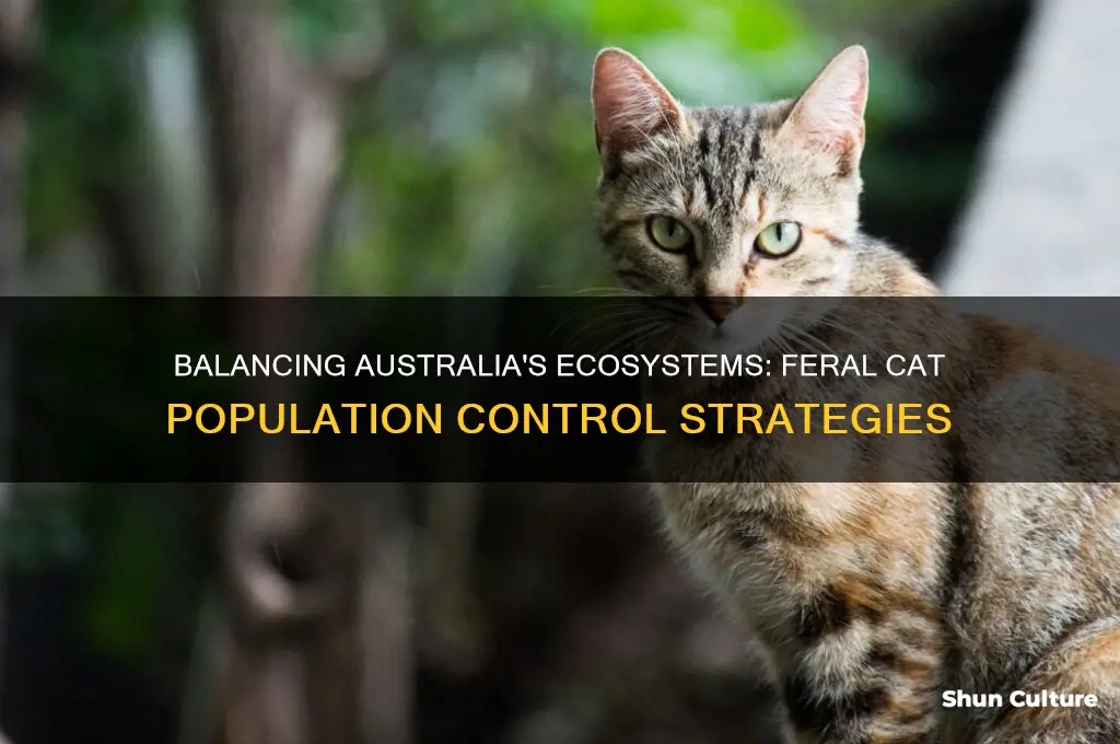 how many feral cats does australia need to eliminate