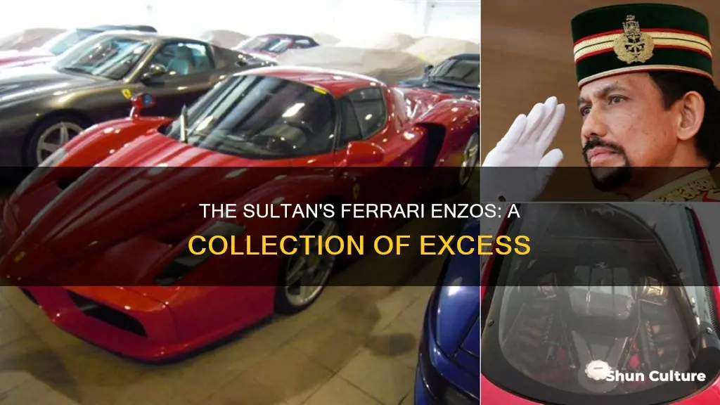 how many ferrari enzos does the sultan of brunei have