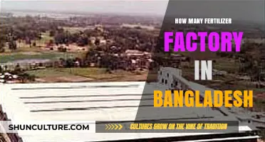 Exploring Bangladesh's Fertilizer Industry: Factory Count and Insights
