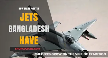 Bangladesh's Air Power: Current Fighter Jet Fleet and Capabilities
