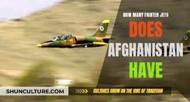 Afghan Air Force's Fleet: A Snapshot of Fighter Jets and More