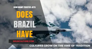 Brazil's Air Power: Exploring the Size of Its Fighter Jet Fleet