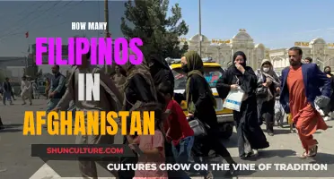 A Global Connection: Exploring the Filipino Presence in Afghanistan