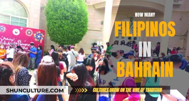 Filipino Migration to Bahrain: A Growing Community