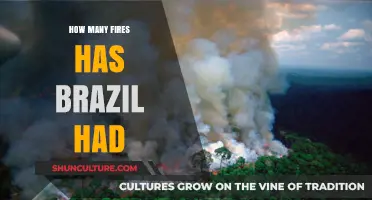 Brazil's Burning Crisis: Tracking the Frequency of Fires Nationwide