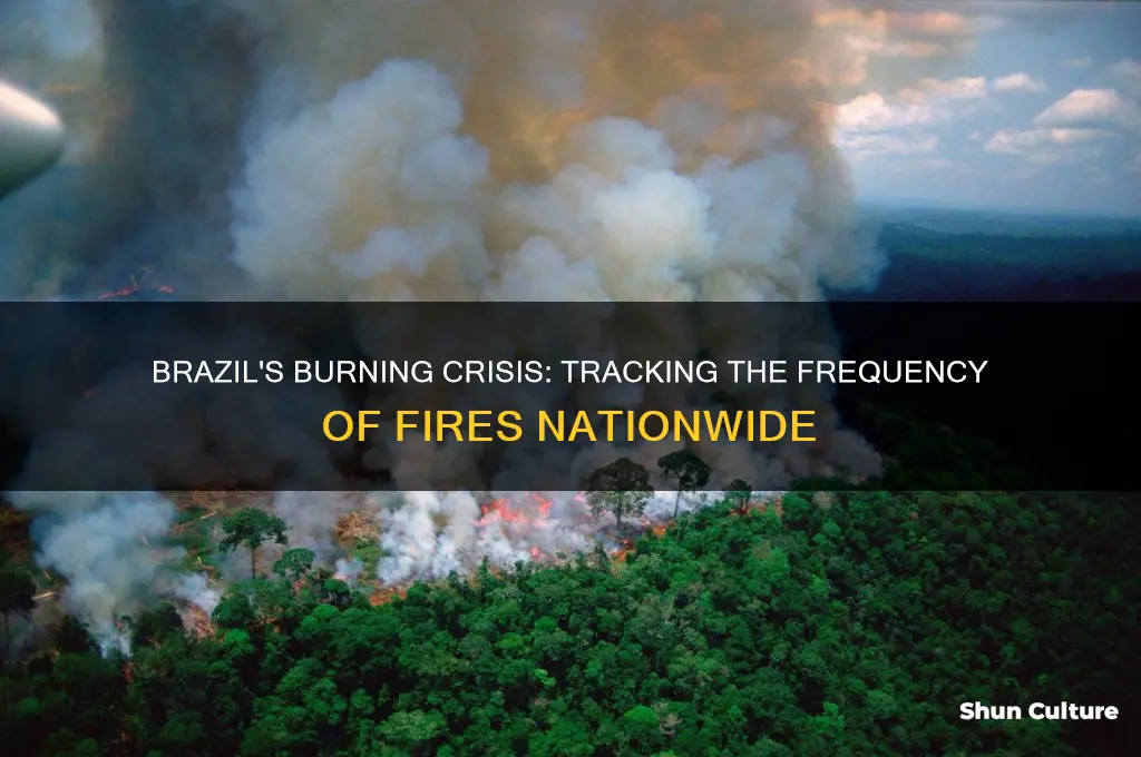 how many fires has brazil had
