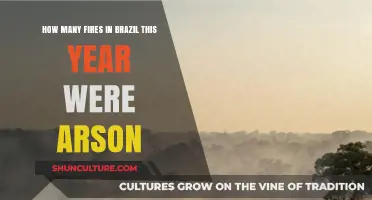 Brazil's Burning: Investigating Arson Cases in This Year's Wildfires