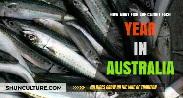 Annual Australian Fish Catch: Unveiling the Scale of Marine Harvests