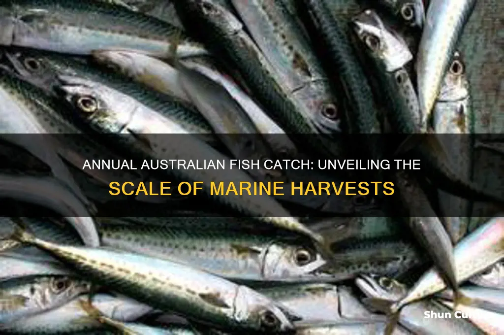 how many fish are caught each year in australia