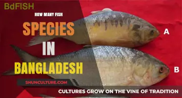 Exploring Bangladesh's Aquatic Diversity: Fish Species Count Revealed