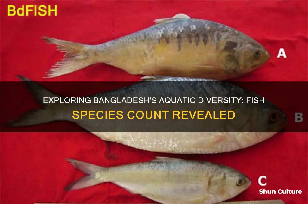how many fish species in bangladesh