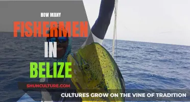 Belize's Fishing Industry: A Community United by the Sea