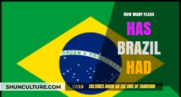 Brazil's Flag Evolution: A Journey Through Its Historical Flags